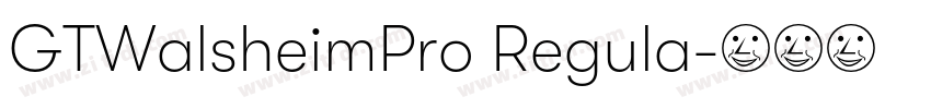 GTWalsheimPro Regula字体转换 GTWalsheimPro Regula字体转换